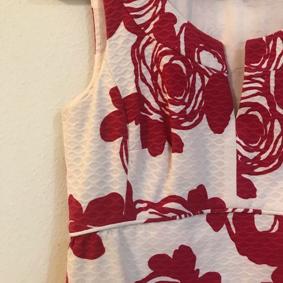 Sleeveless Rose Print A Line Dress by Ann Taylor - Picture 3 of 5